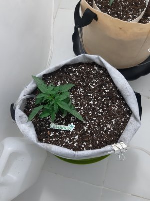 20230416_080729.jpg 20230416_080729.jpg