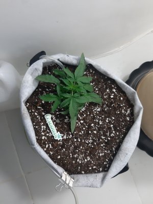 20230416_080634.jpg 20230416_080634.jpg