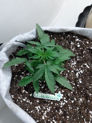 20230416_081310.jpg 20230416_081310.jpg