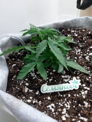 20230416_081258.jpg 20230416_081258.jpg