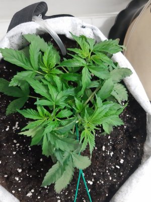 20230416_162520.jpg 20230416_162520.jpg