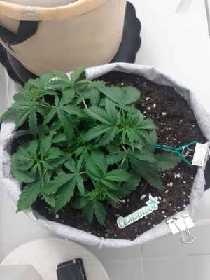 20230416_172713.jpg 20230416_172713.jpg