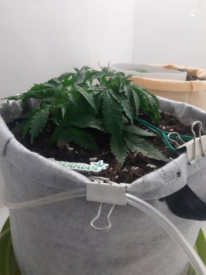 20230416_172619.jpg 20230416_172619.jpg