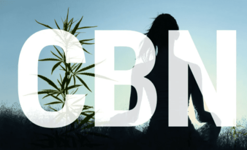 1636011319982.png 1636011319982.png