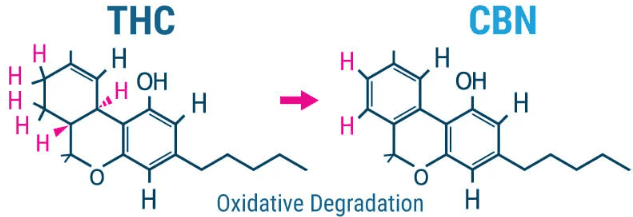 1636011443328.png 1636011443328.png