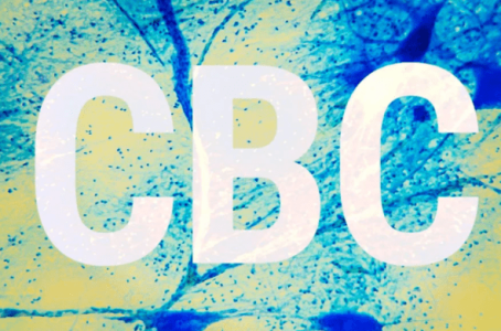 1636565436726.png 1636565436726.png