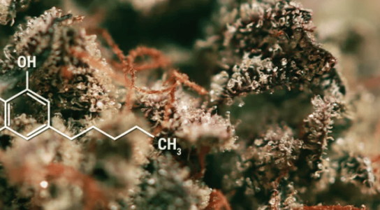 1636650858043.png 1636650858043.png