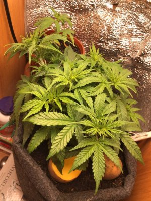 photo_2021-11-19_16-28-53 (2).jpg