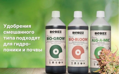 Лучшие органические удобрения для выращивания конопли Лучшие органические удобрения для выращивания конопли