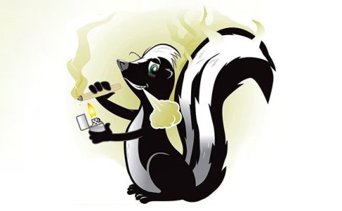 Описание и эффект Skunk сортов конопли Описание и эффект Skunk сортов конопли