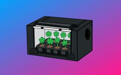 Микрогроувинг конопли Микрогроувинг конопли