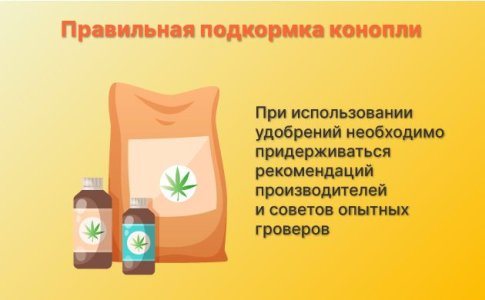 Удобрения для быстрого развития конопли Удобрения для быстрого развития конопли