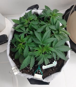 20230417_111442.jpg 20230417_111442.jpg