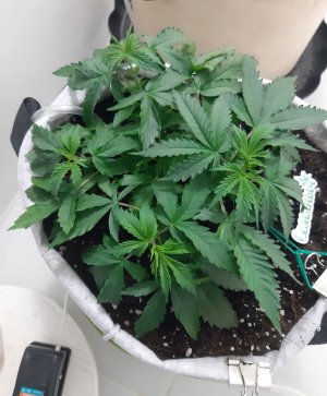 20230417_111422.jpg 20230417_111422.jpg