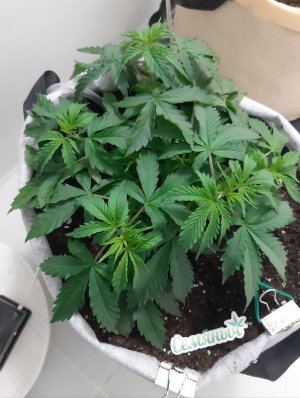 20230417_113956.jpg 20230417_113956.jpg