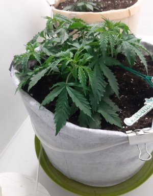 20230417_114012.jpg 20230417_114012.jpg