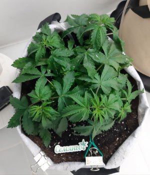 20230417_113914.jpg 20230417_113914.jpg