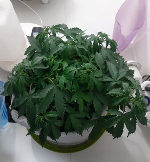 20230417_183731.jpg 20230417_183731.jpg