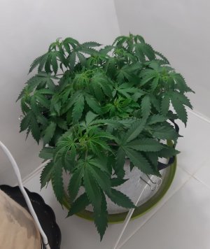 20230417_193745.jpg 20230417_193745.jpg