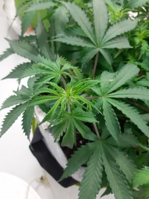 20230417_220250.jpg 20230417_220250.jpg