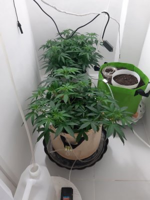 20230417_231816.jpg 20230417_231816.jpg