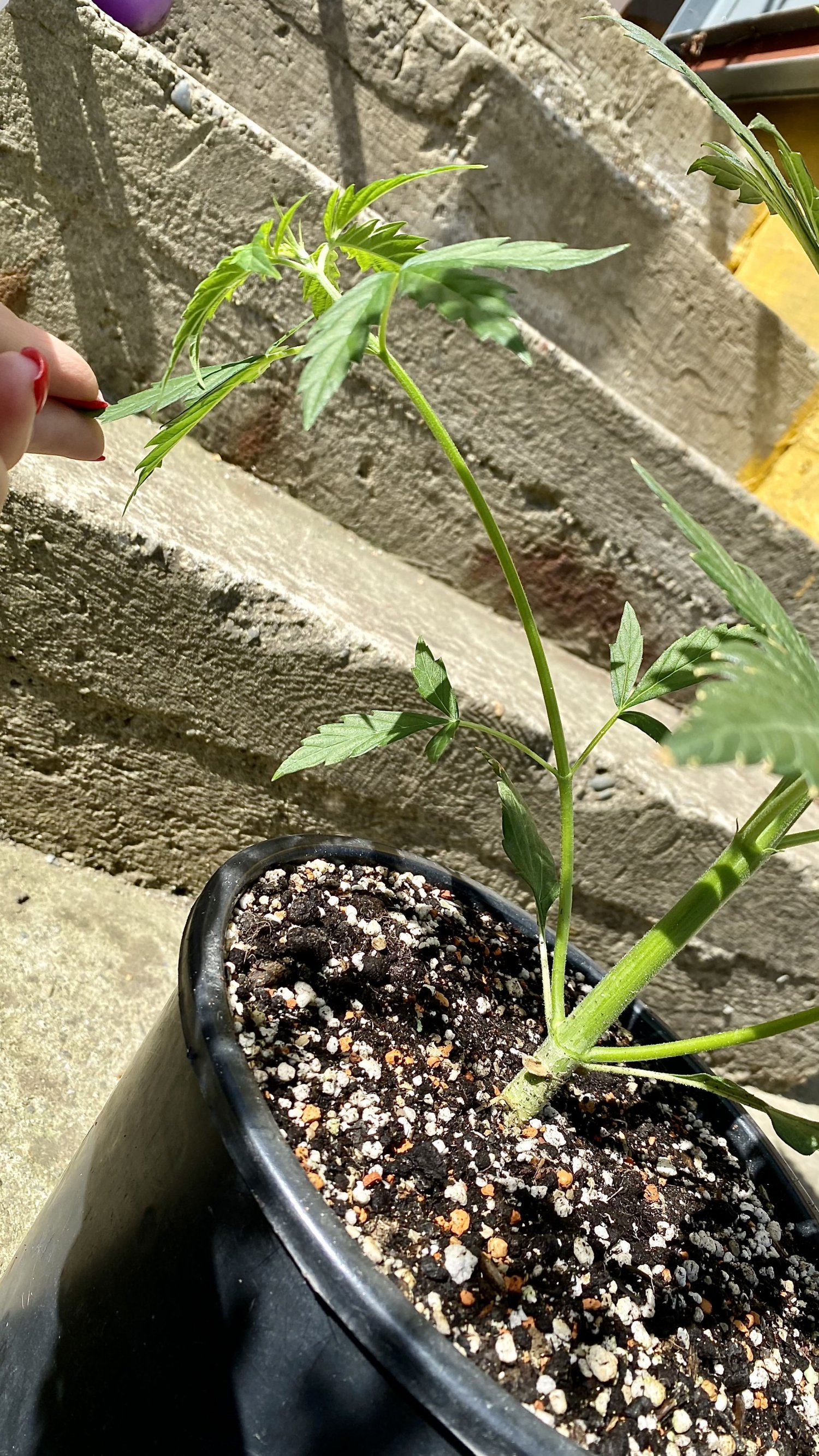 IMG_7927.jpeg IMG_7927.jpeg