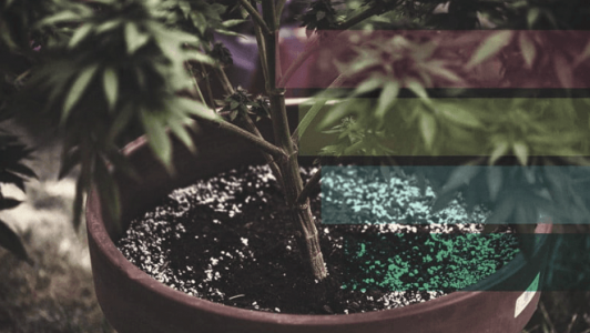 1681752576152.png 1681752576152.png