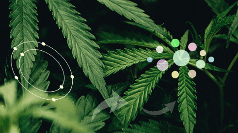 1681752656461.png 1681752656461.png