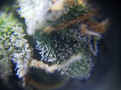 IMG20230418142750.jpg IMG20230418142750.jpg