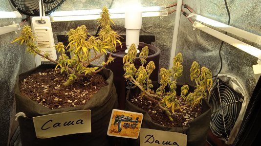 21.04.23 (1).jpg 21.04.23 (1).jpg