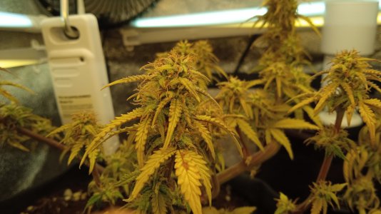 21.04.23 (2).jpg 21.04.23 (2).jpg