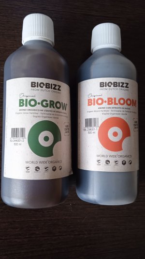 22.04.23 (1).jpg 22.04.23 (1).jpg