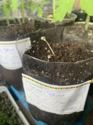 5348402C-BB06-48AF-B60D-455D9802A2F7.jpeg 5348402C-BB06-48AF-B60D-455D9802A2F7.jpeg