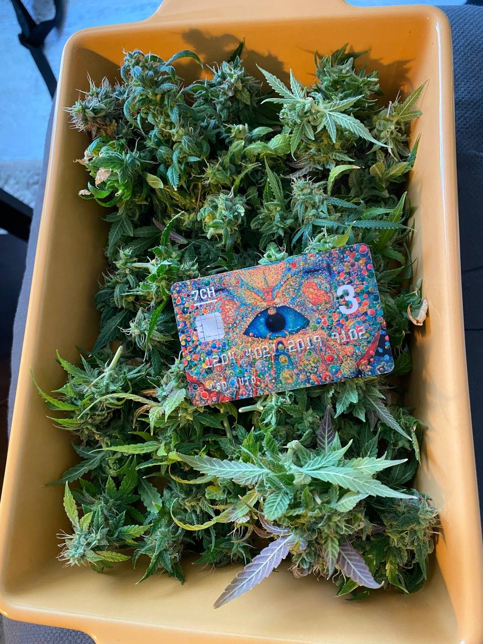 photo1682172184 (2).jpeg