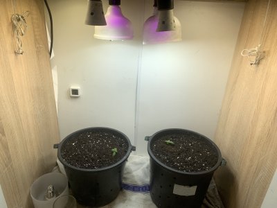 4195F678-CAB0-4CC2-AEDA-528BB9E5A4D9.jpeg 4195F678-CAB0-4CC2-AEDA-528BB9E5A4D9.jpeg