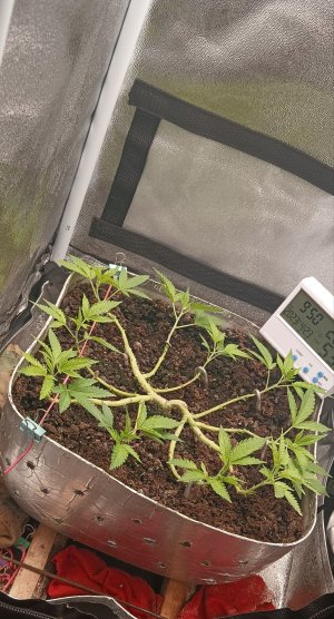 IMG_20230423_095129.jpg IMG_20230423_095129.jpg