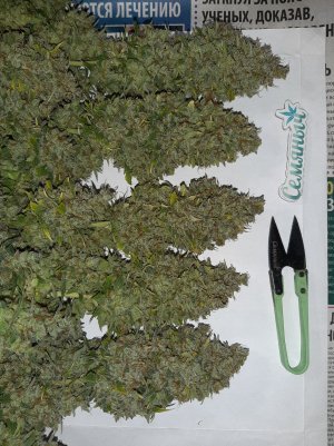 20230423_221855.jpg 20230423_221855.jpg