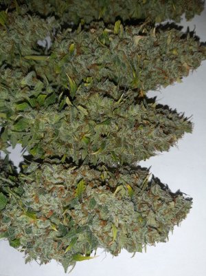 20230423_221835.jpg 20230423_221835.jpg