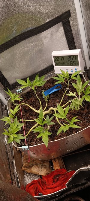 IMG_20230423_224756.jpg IMG_20230423_224756.jpg