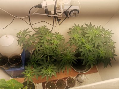 IMG_20230425_103323.jpg IMG_20230425_103323.jpg