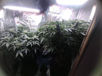 IMG_20230425_185347_043.jpg IMG_20230425_185347_043.jpg