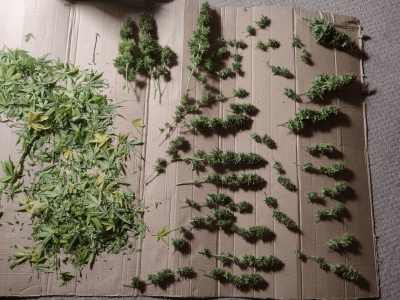 1682438615143.png 1682438615143.png