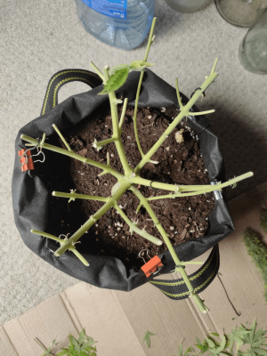 1682438629645.png 1682438629645.png