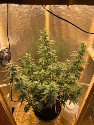 wuKPhf3MUQk.jpg wuKPhf3MUQk.jpg