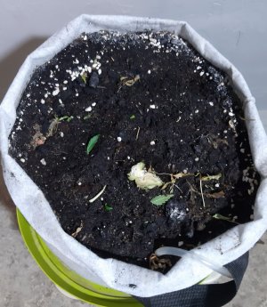 20230426_175614.jpg 20230426_175614.jpg