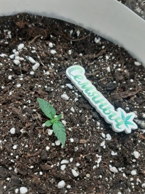 20230428_202954.jpg 20230428_202954.jpg