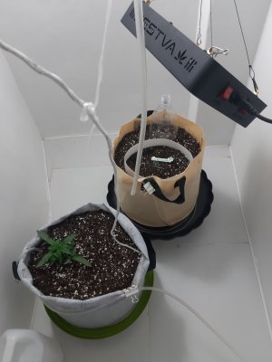 20230428_180727.jpg 20230428_180727.jpg