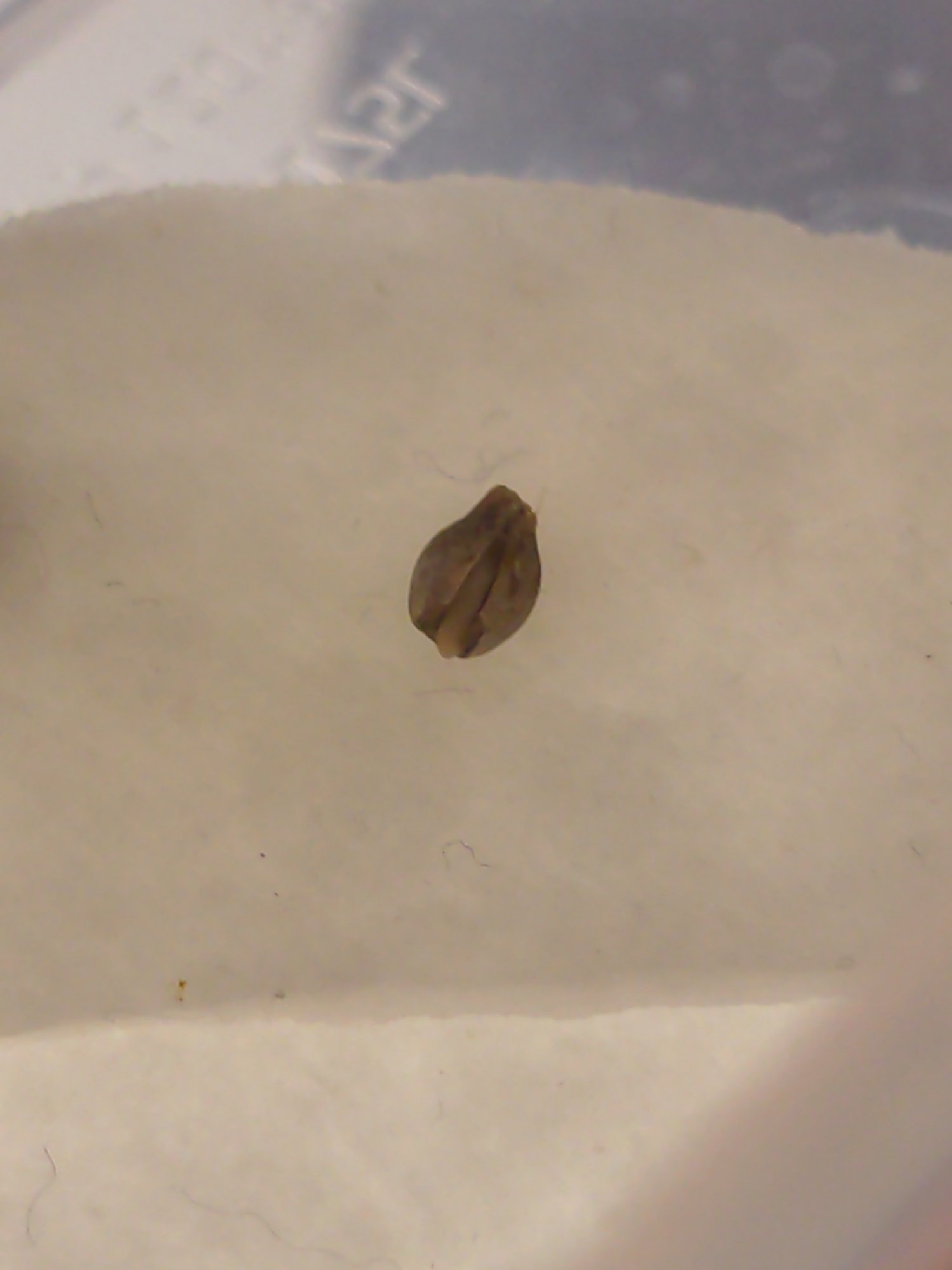 16827139861844593660616655360949.jpg 16827139861844593660616655360949.jpg