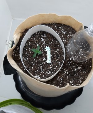 20230429_103706.jpg 20230429_103706.jpg