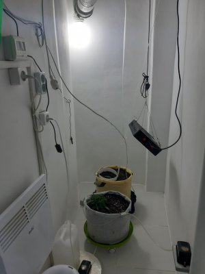 20230429_111254.jpg 20230429_111254.jpg